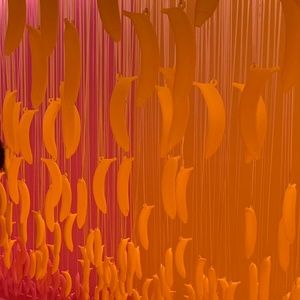 Meet your Posher, Em